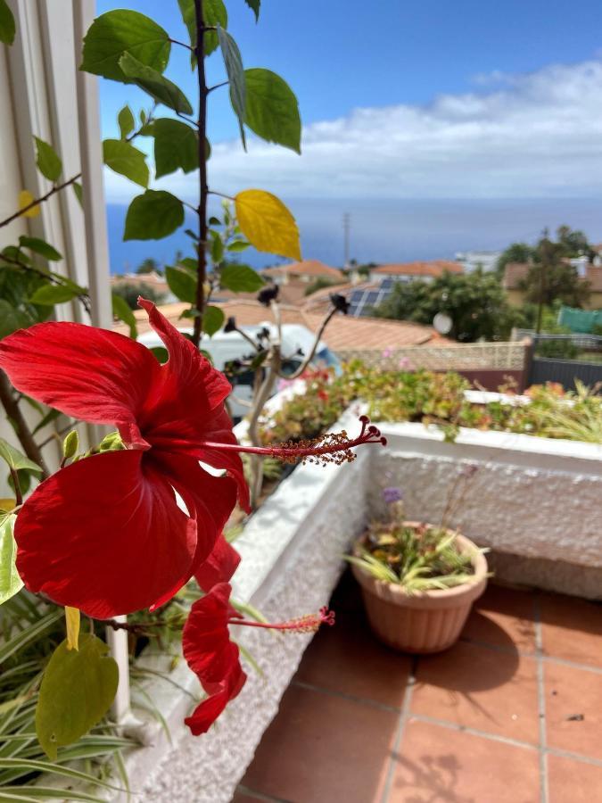 Apartament Guanche Bay Santa Cruz de Tenerife Zewnętrze zdjęcie